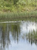 img_6878
