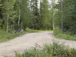img_6956