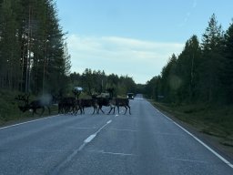 img_7032