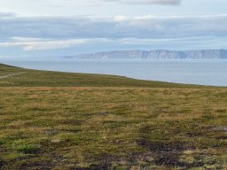 img_7067