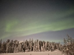 img_4651