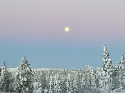 img_4660