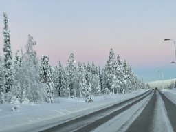 img_4664