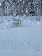 img_4669