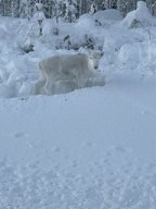 img_4670