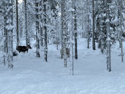 img_4676