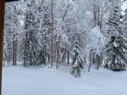 img_4688