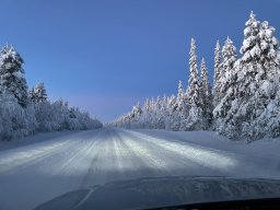 img_4711