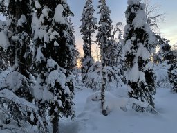 img_4735