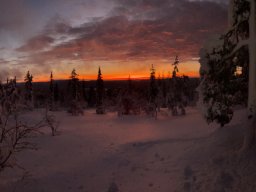 img_4744