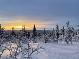 img_4764