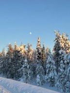 img_4777