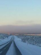 img_4781